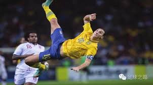 主教练在调 主教练在调