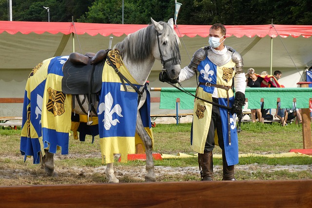 的场均数据 的场均数据