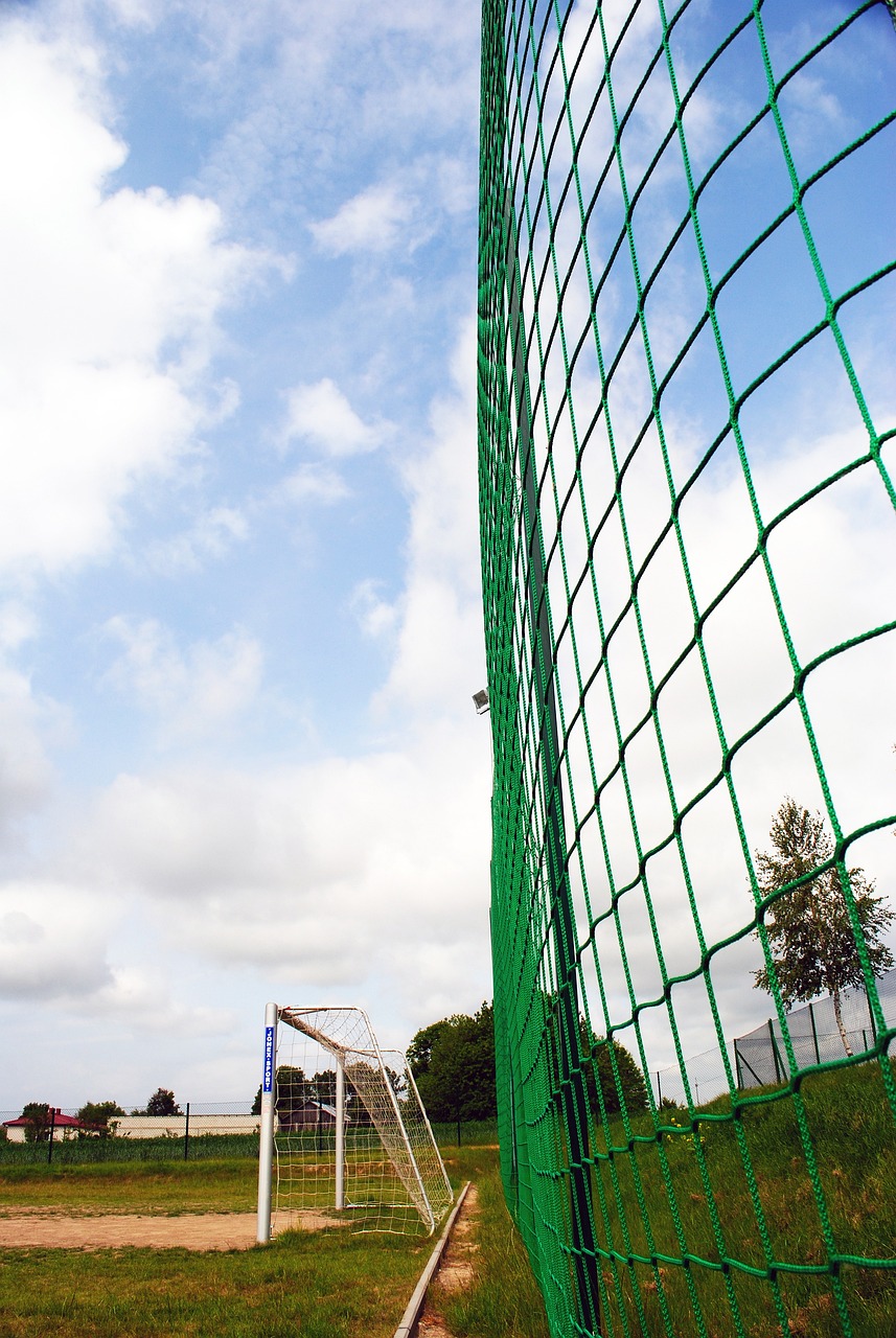 在足球比赛 在足球比赛