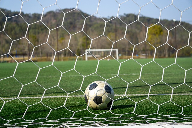 娴熟的技巧 娴熟的技巧