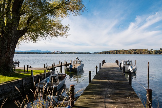 期待埃弗顿 期待埃弗顿